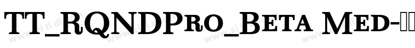 TT_RQNDPro_Beta Med字体转换